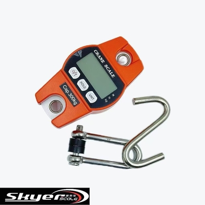 kualitas  300kg Digital Crane Scale with LED LCD Display pabrik