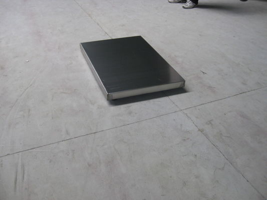 Stainless Steel 304 Base Platter 150kg Timbangan Anjing