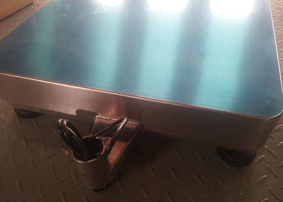 Digital 30 × 30cm 50kg SUS304 Bench Scale Timbangan
