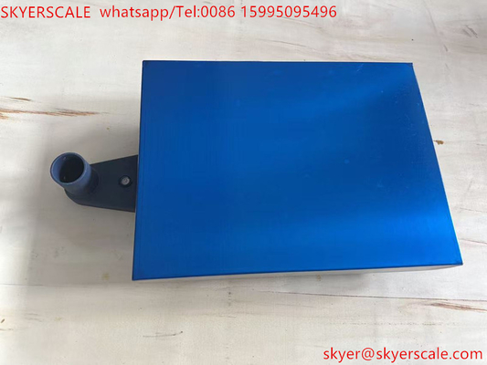 Blue Color Carbon Steel Bench Weighing Scale 30x40cm 100kg Powder Coated
