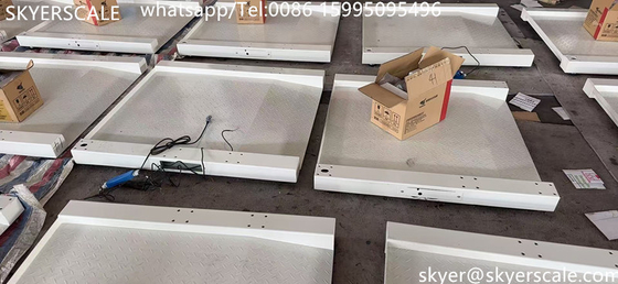 Rumah sakit medis berdedikasi 800x800mm 250kg skala kursi roda
