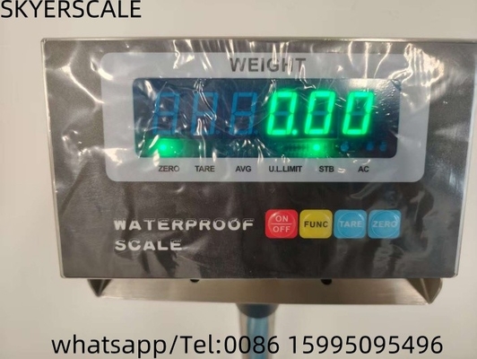Platform Bench Stainless Steel Waterproof Weighing Scale Inox 200kg Scale