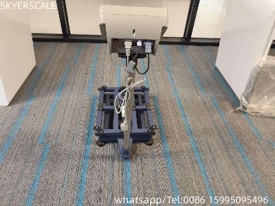 Platform Elektronik Timbangan Ekonomi Skala Bangku 300kg