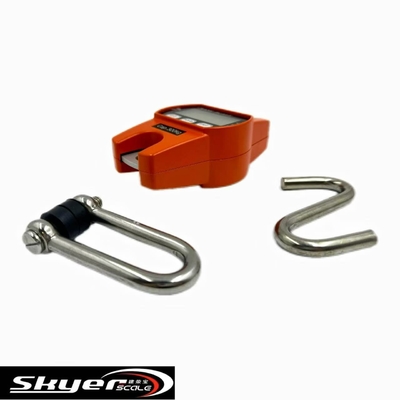 Skala Crane Digital 300kg dengan Layar LCD LED